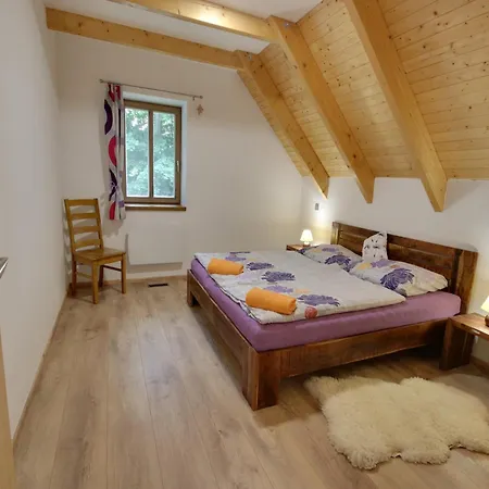 Children-friendly In Bohemia Villa Kořenov